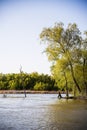 Danube Delta Landscape, Romania Royalty Free Stock Photo