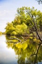 Danube Delta Landscape, Romania Royalty Free Stock Photo