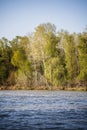 Danube Delta Landscape, Romania Royalty Free Stock Photo