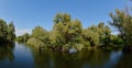 Danube delta landscape Royalty Free Stock Photo