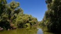 Danube delta landscape Royalty Free Stock Photo