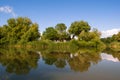 Danube Delta landscape Royalty Free Stock Photo