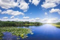 Danube Delta landscape with water canals and vegetation on a hot summer day with blue sky and white clouds Royalty Free Stock Photo