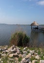 DANUBE DELTA. TULCEA. ROMANIA. NATURE LANDSCAPE