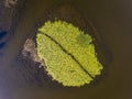 Danube Delta vegetation as seen from above aerial view Royalty Free Stock Photo