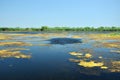 Danube delta. Water channel, lake and marsh, Romania Royalty Free Stock Photo