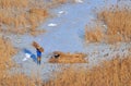 Danube delta in winter