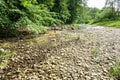 the Danube disappears at Donaueschingen Germany