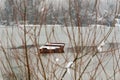 Danube island ÃÂ odroÃÂ¡ near Novi Sad, Serbia. Colorful landscape with snowy trees, beautiful frozen river. A boats covered with s Royalty Free Stock Photo