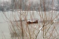 Danube island ÃÂ odroÃÂ¡ near Novi Sad, Serbia. Colorful landscape with snowy trees, beautiful frozen river. A boats covered with s Royalty Free Stock Photo