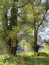 Danube near Weltenburg in Bavaria