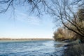 Novi Sad, Serbia - December 08. 2020: Forest on the bank of the river Danube in Petrovaradin near Novi Sad in the winter. Royalty Free Stock Photo