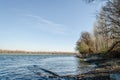 Novi Sad, Serbia - December 08. 2020: Forest on the bank of the river Danube in Petrovaradin near Novi Sad in the winter. Royalty Free Stock Photo