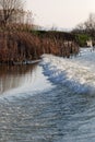 Danube river delta