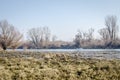 Danube river delta in winter Royalty Free Stock Photo