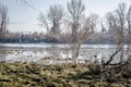 Danube river delta in winter Royalty Free Stock Photo
