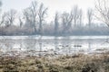 Danube river delta in winter Royalty Free Stock Photo