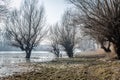 Danube river delta in winter Royalty Free Stock Photo