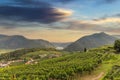 Danube river in Wachau valley with old ruins of Hinterhaus castle. Spitz. Lower Austria Royalty Free Stock Photo