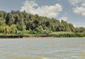 Danube riverbank summer landscape close to Biosphere Reserve. Vilkove, Ukraine