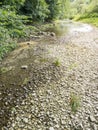 the Danube seepage at Donaueschingen Germany Royalty Free Stock Photo