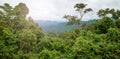 Danum Valley rainforest, Borneo, Malaysia Royalty Free Stock Photo