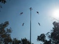 Danza de los Voladores Dance of the Flyers, Palo Volador flying pole, ceremony, ritual Royalty Free Stock Photo