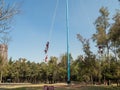 Danza de los Voladores Dance of the Flyers, Palo Volador flying pole, ceremony, ritual Royalty Free Stock Photo