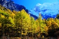 Daocheng Yading , a national level nature reserve in China