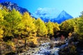 Daocheng Yading , a national level nature reserve in China