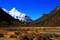 Daocheng Yading , a national level nature reserve in China