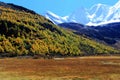 Daocheng Yading , a national level nature reserve in China