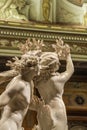 Daphne And Apollo Bernini Sculpture Royalty Free Stock Photo