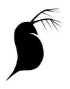 Daphnia. Black hand drawing outline vector image silhouette .