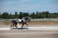 Dapple Gray Dressage Horse and Rider at a show Royalty Free Stock Photo