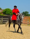 Dapple Grey horse being exercised, rider wearing Elizabethan costume. Royalty Free Stock Photo