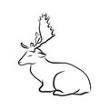 Dappled deer, black and white doodle sketch vector illustration, hand drawn animal drawing, isolated on white