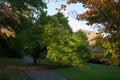 Dappled mulberry tree, sheffield botanical gardens, greenhouses behind Royalty Free Stock Photo