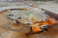 Dappled sinter deposits around Tardy Geyser in Upper geyser basin