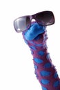 Dappled sock puppet with sunglasses