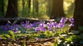 dappled wood violet