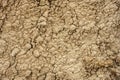 Dapples Of Dried Mud Royalty Free Stock Photo