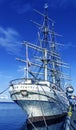 The Dar Pomorza is a Polish full-rigged sailing ship built in 1909 which is preserved in Gdynia as a museum ship