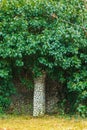 Darden design - fake tree made of mosaic and climbing plants