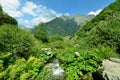 Dariali Gorge near the Kazbegi city Royalty Free Stock Photo