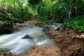 Darien jungle in Central America