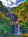 Darjeeling dairies  waterfall Royalty Free Stock Photo