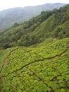 Darjeeling , INDIA , 15th APRIL 2011 : Aerial View from the cabl Royalty Free Stock Photo