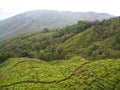 Darjeeling , INDIA , 15th APRIL 2011 : Aerial View from the cabl Royalty Free Stock Photo