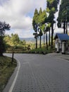 Darjeeling road West Bangal phulkhola